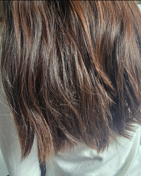Antes